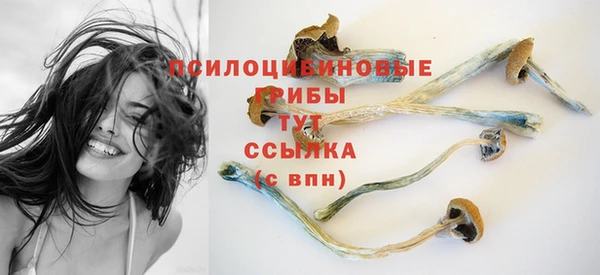 скорость Алзамай