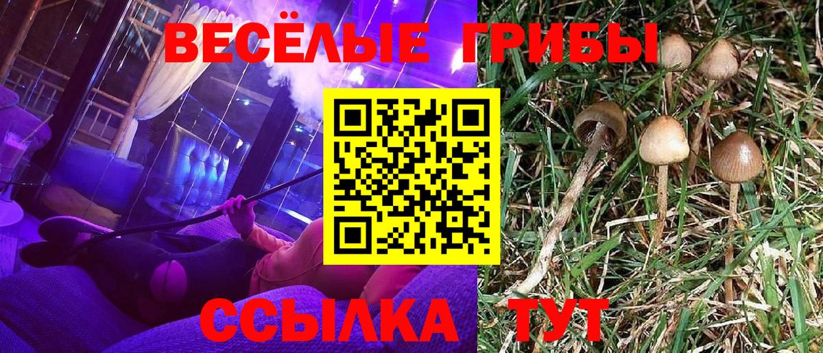 Псилоцибиновые грибы MAGIC MUSHROOMS Сосновоборск